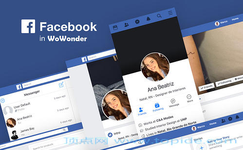 Facebook 主题 v1.0.3 - Wowonder Facebook主题