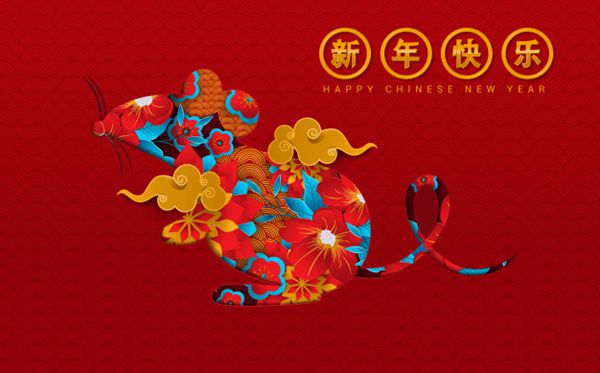 恭祝顶点网各位会员2020新年快乐！